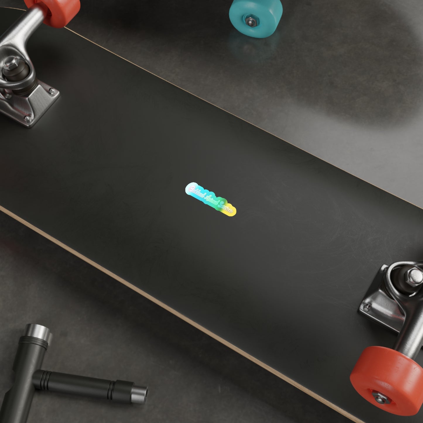 OAS Rainbow Holographic Sticker