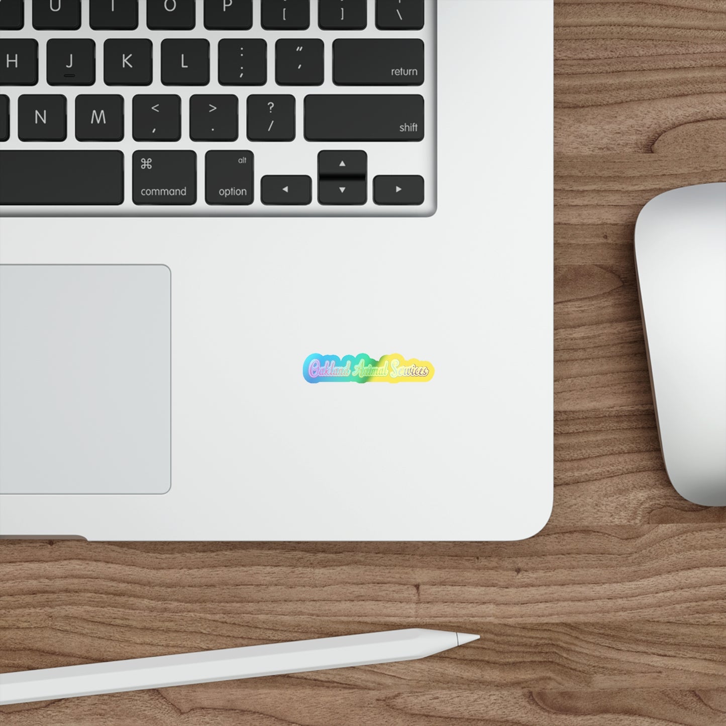OAS Rainbow Holographic Sticker