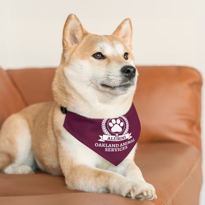 Pet Bandana Collar