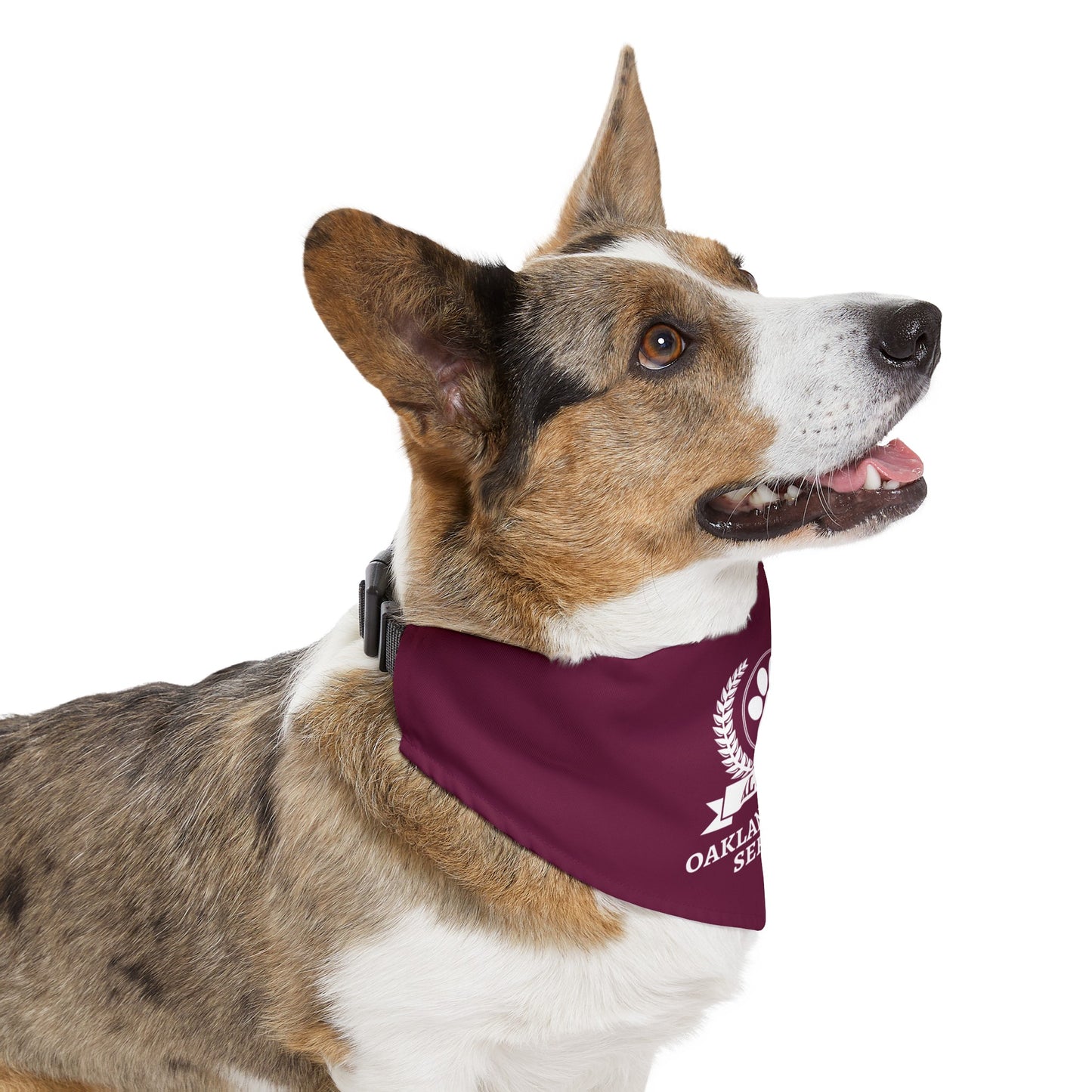 Pet Bandana Collar